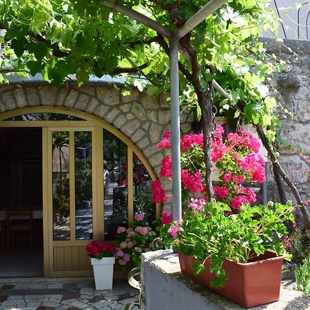 Guest House Tom マリンスカ エクステリア 写真
